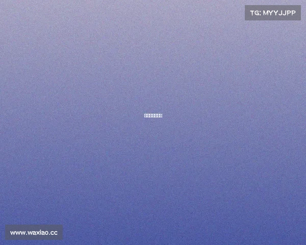 中国皮划艇比赛