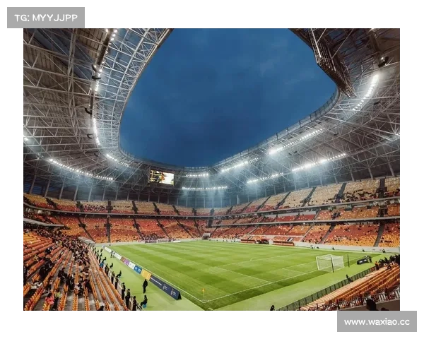 2024欧洲足球锦标赛决赛万众瞩目绿茵场巅峰对决激情四射